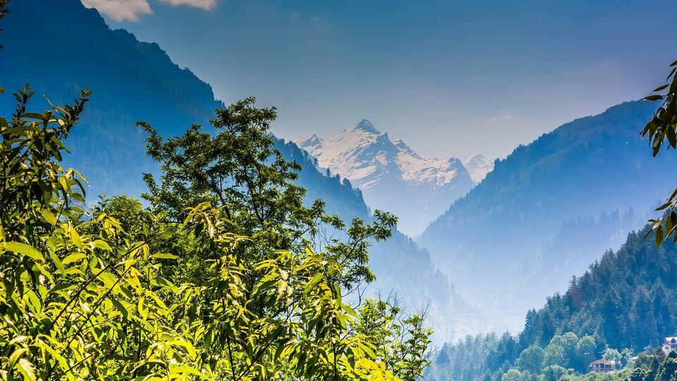 Snow-dusted Himalayan peaks above pine forests near Manali and Shimla