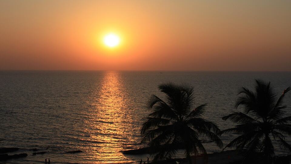 Golden sunset over a palm-lined beach in Goa